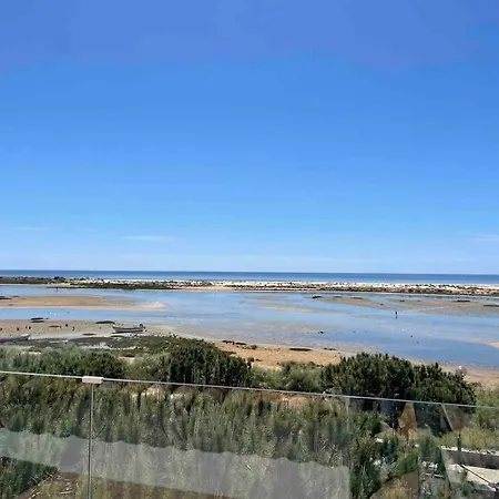 The House Roof Apartment