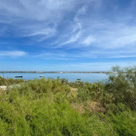 公寓 The House Roof *